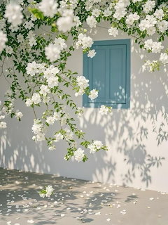 White Blossoms Window