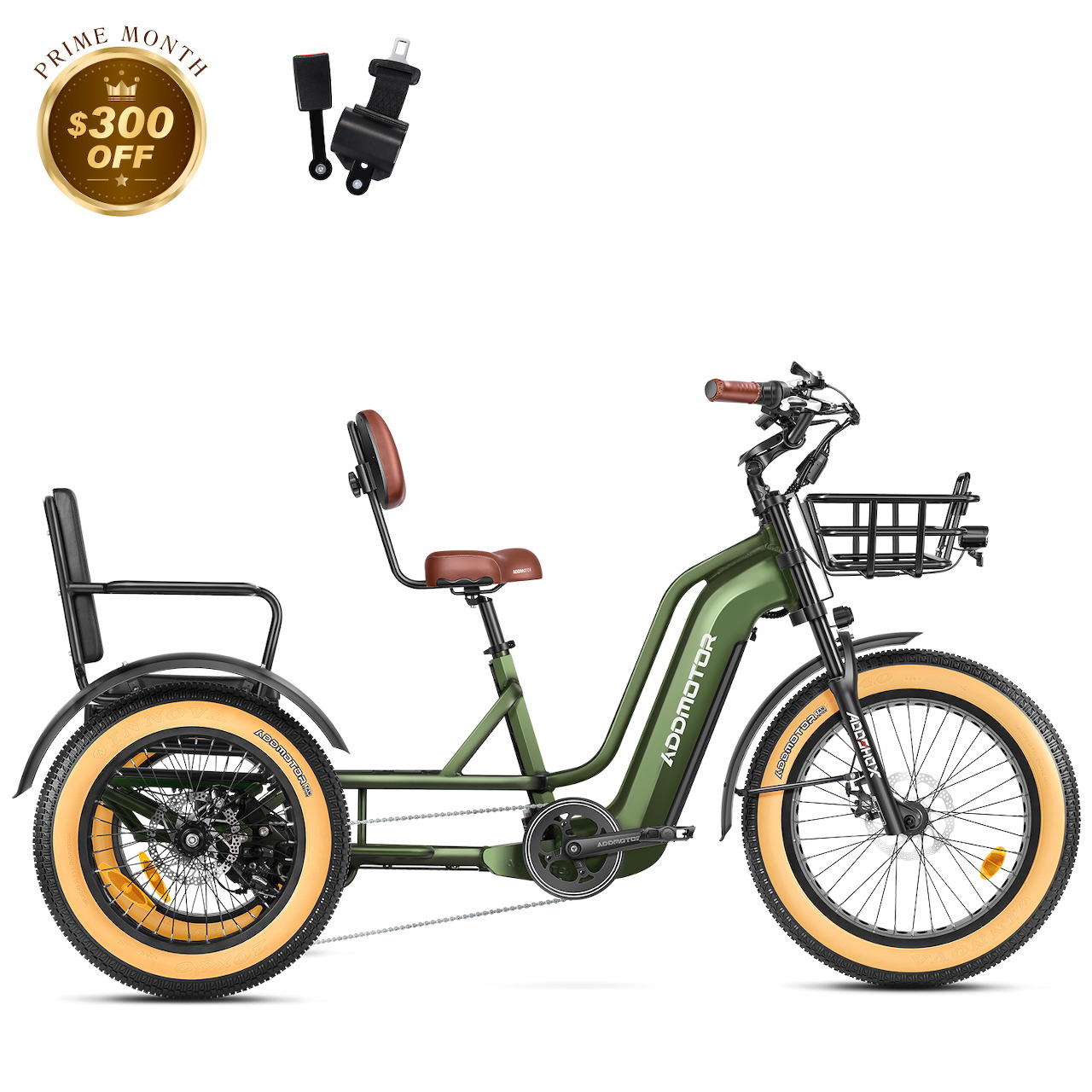 Electric Tricycle Bike