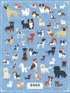 Dog Breeds Illustration