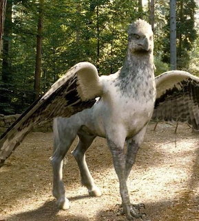 Hipogriff Buckbeak standing on a forest path with wings spread, eagle head and horse body