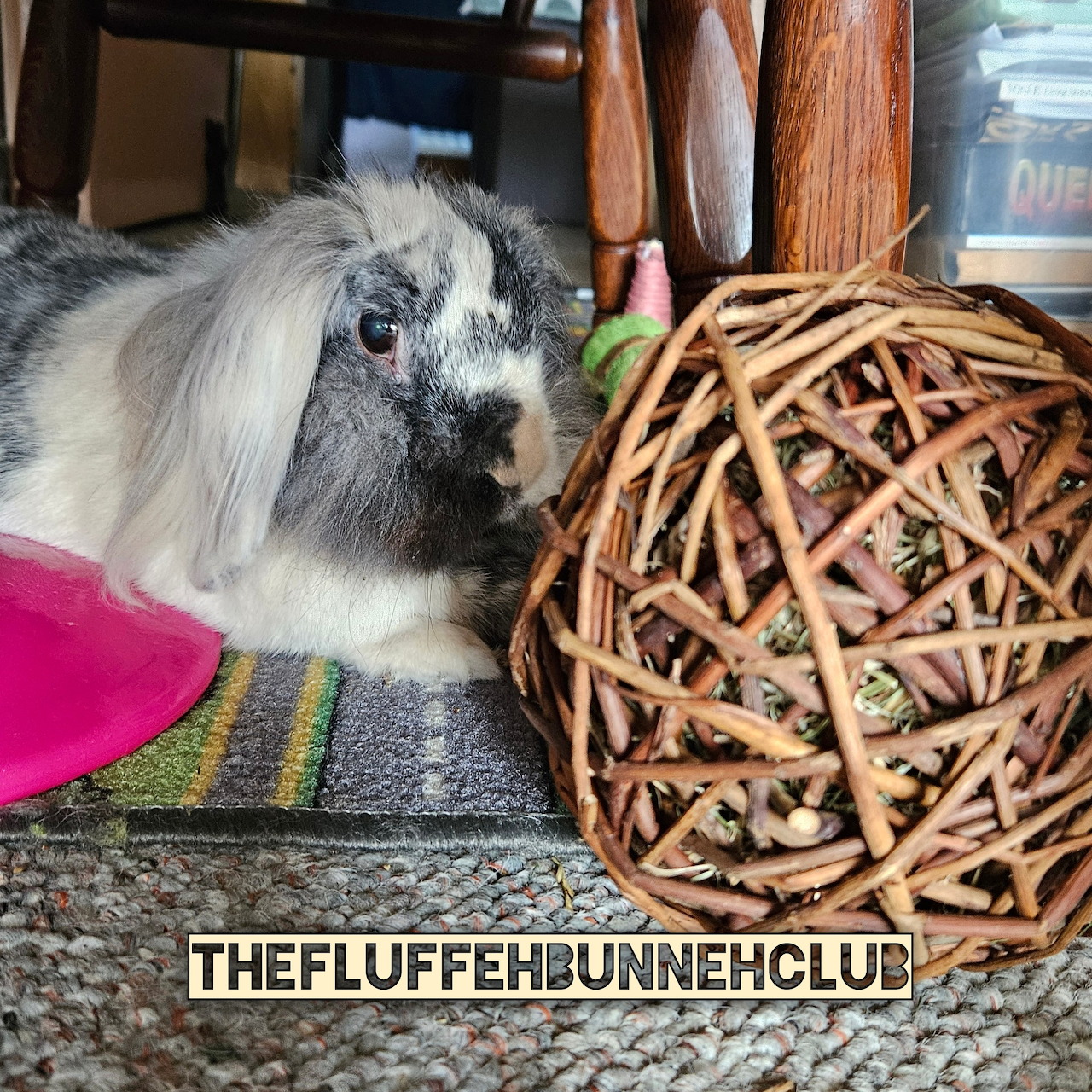 Fluffy Bunny With Wicker Ball