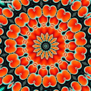 Orange Floral Mandala
