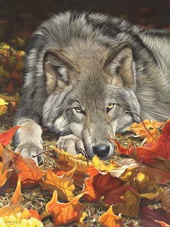 Wolf in Autumn Leaves