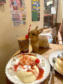 Plush bunny next to iced coffee and strawberry whipped cream dessert in cafe