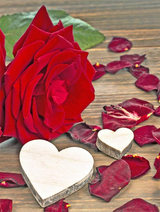 Red hearts and colorful flowers arranged in a romantic decorative composition
