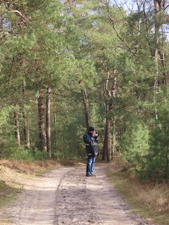 Person with a camera standing on a dirt road in a pine forest
