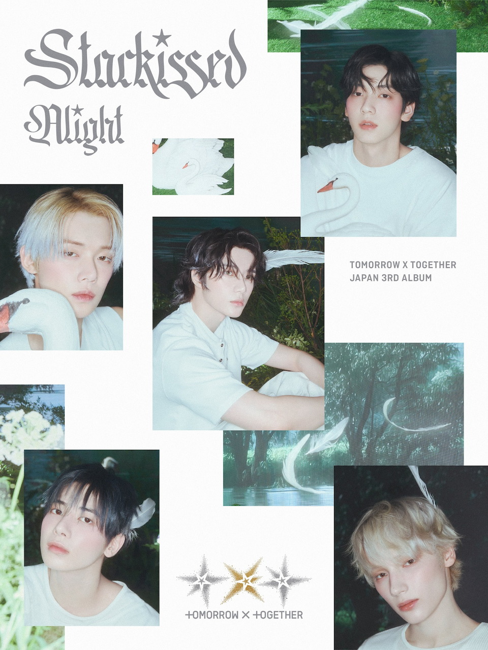 TXT Starkissed Group