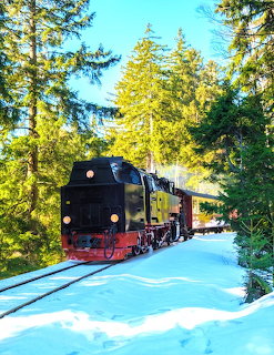Steam Train in Winter Forest