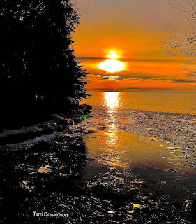 Golden sunset reflecting on a lake with silhouetted trees along the shore