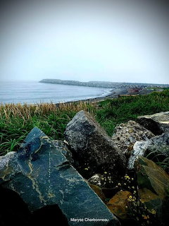 Large weathered rocks with wild grasses and foggy ocean coastline in background