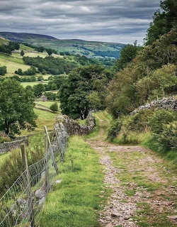 Countryside Stone Path