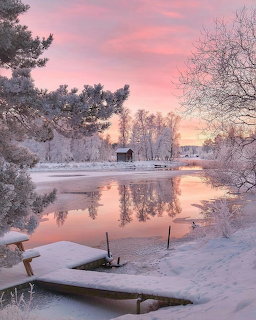 Winter sunset over snowy lake with pink sky reflection and frost-covered trees