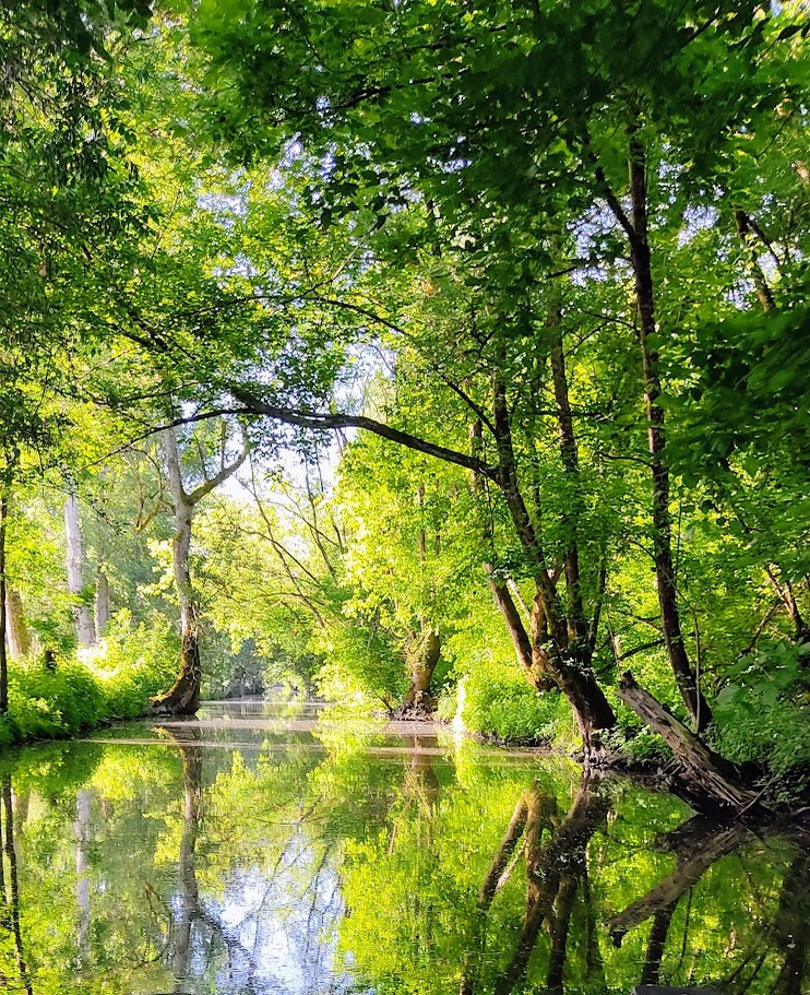 Marais Poitevin Canal