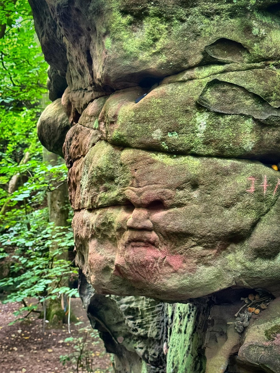 Large moss-covered rock formation resembling a face in a woded area with green trees