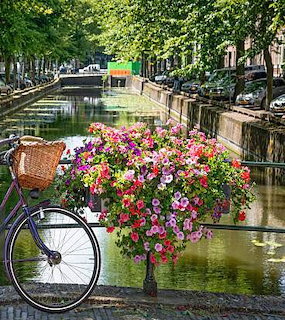 Bicycle with flower basket beside Amsterdam canal lined with trees and buildings