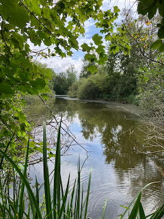 Peaceful Forest Pond