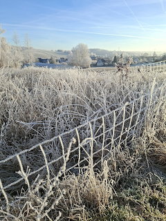Frost-covered grass and wire fence in a rural winter landscape with village buildings in the background