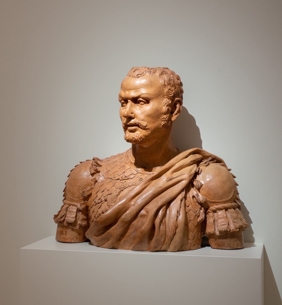 Terracotta bust sculpture of bearded warrior in draped armor on white pedestal