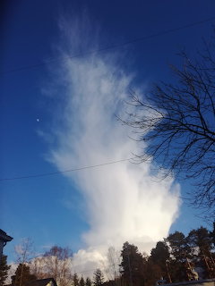 Tall wispy white cloud formation against a deep blue sky with bare tree branches at the edges