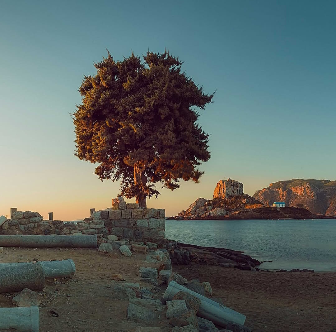 Lone tree beside a calm coastal shore with stone ruins and rocky hills in the distance