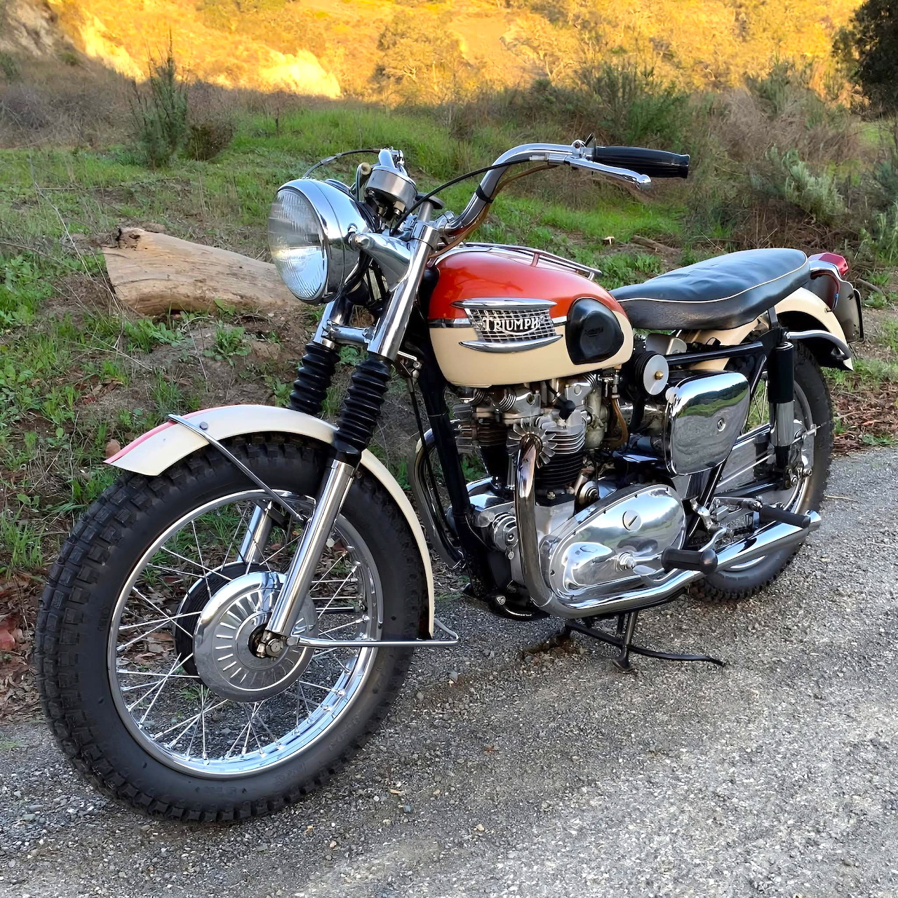 Triumph TR6 Trophy