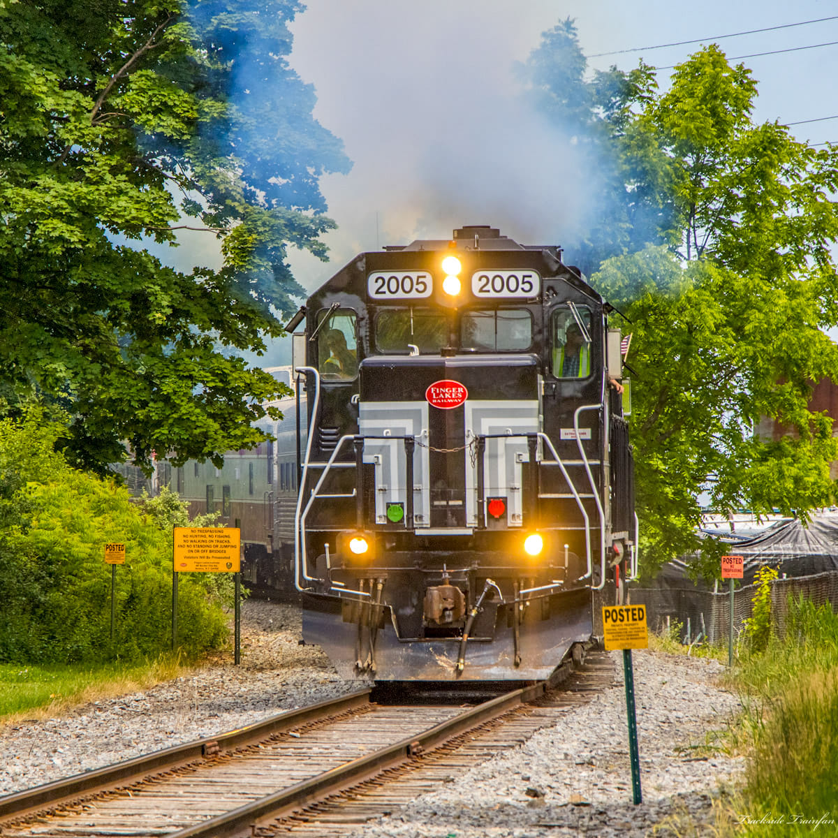 Front-facing black locomotive numbered 2005 on railroad tracks surrounded by trees