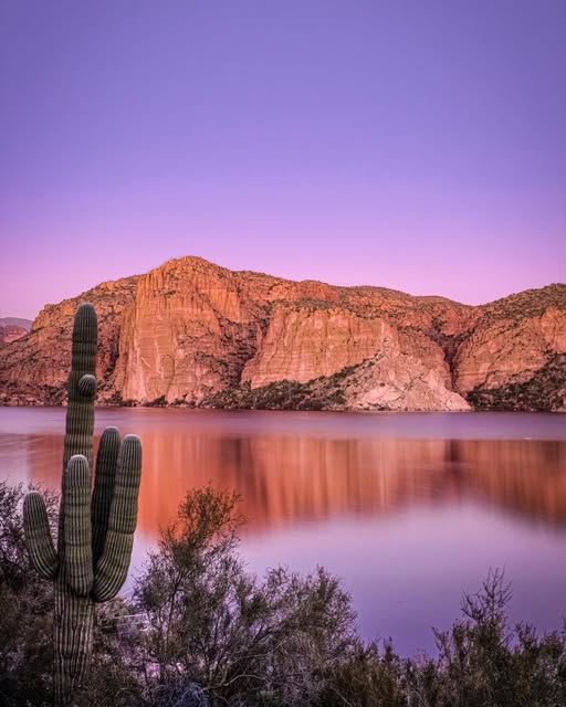 Saguaro cactus silhoueted against Canyon Lake with red rock cliffs and purple sunset sky reflected in still water