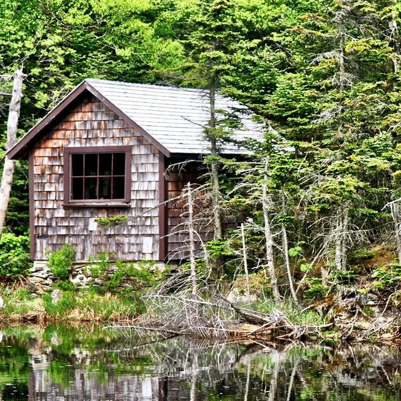 Rustic wooden cabin beside a forest pond with green trees reflected in the water