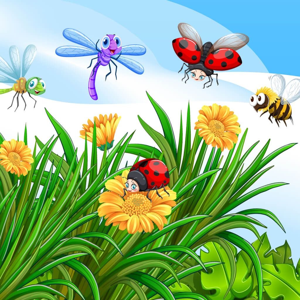Cartoon garden scene with ladybugs, dragonfly, bee, and mosquito on flowers and grass