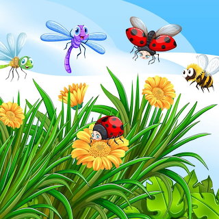 Garden Insects
