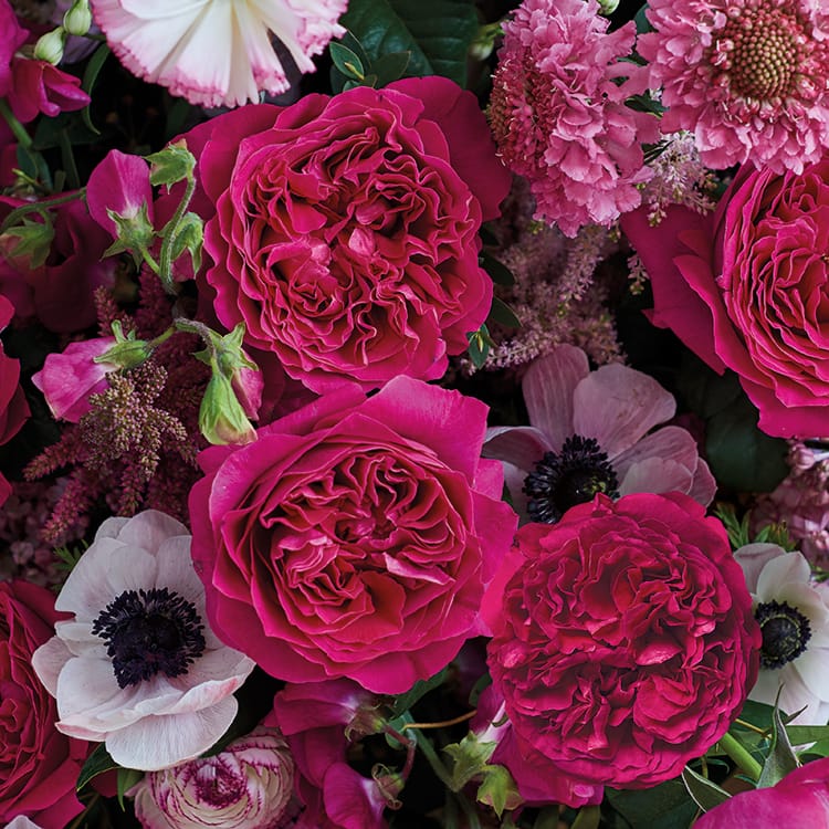 Close-up of a vibrant magenta rose bouquet with pink hydrangeas and white anemones