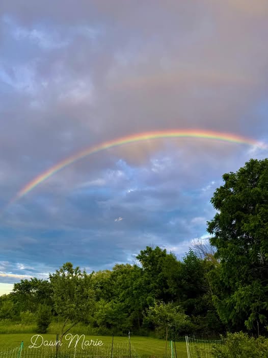 Rainbow spanning across cloudy sky over green field with trees
