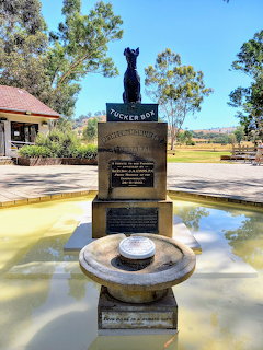 Dog on the Tuckerbox Gundagai
