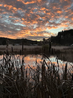 Sunset Over Pond
