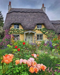 Thatched roof cottage with yellow windows behind colorful garden full of roses and flowers