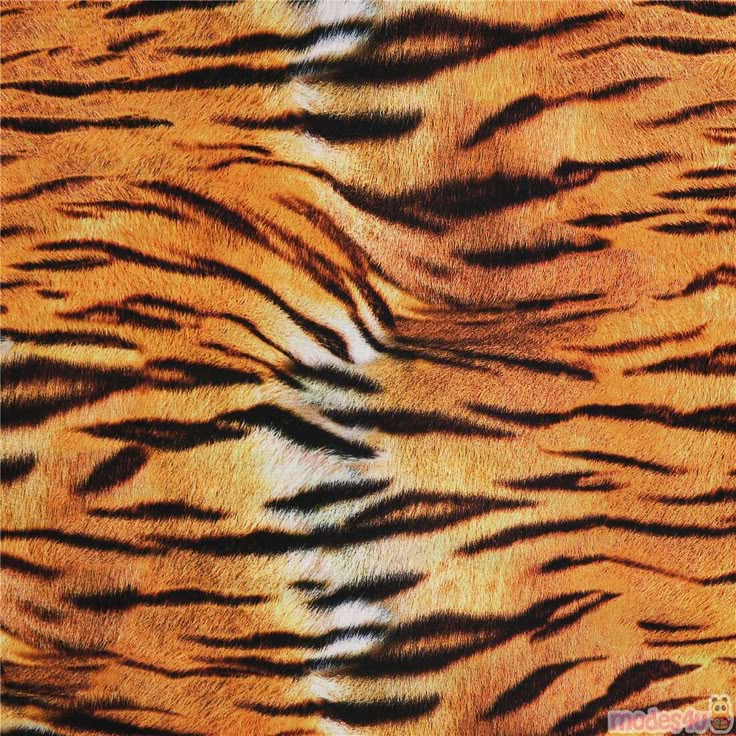Tiger Fur Pattern