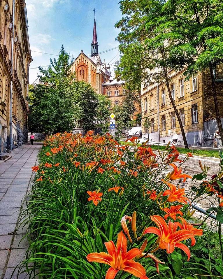 Cobblestone Mary Street in Lviv, Ukraine with historic buildings