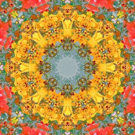 Colorful Floral Mandala