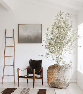 Minimalist white room corner with olive tree in stone pot, black leather chair, wooden ladder, and wall art