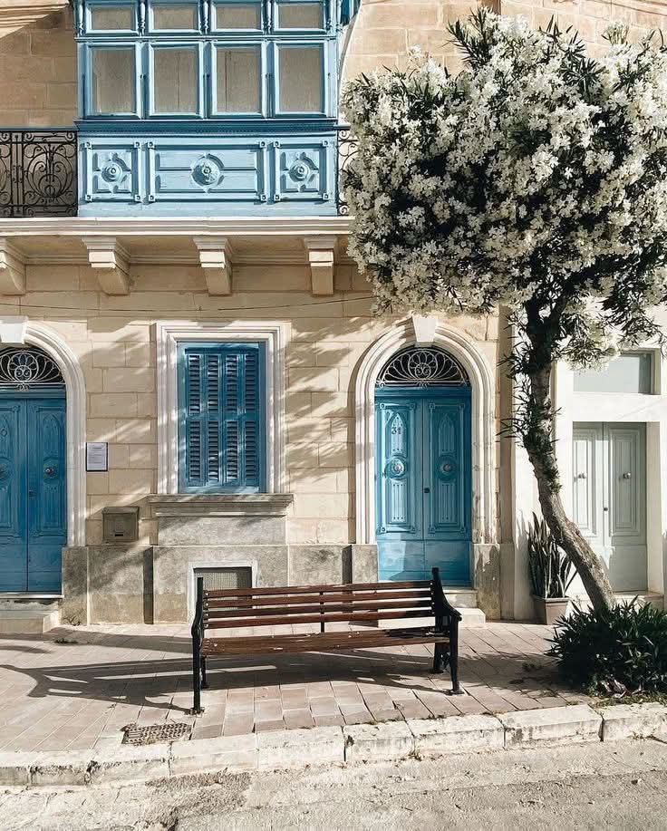Sunlit Malta building with blue doors, wooden bench, and white blossoming tree on a quiet street