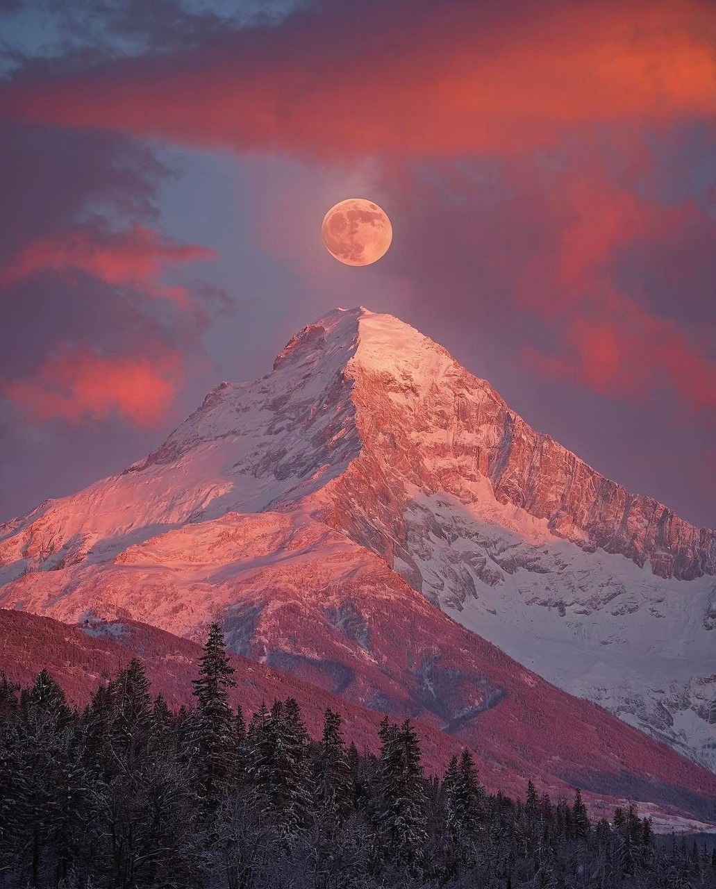 Full moon balanced above a snow-capped mountain peak at sunset with glowing pink clouds and snow-covered trees below