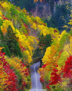 Autumn Mountain Road