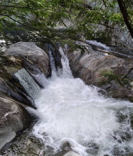 Warren Falls waterfall rushing over granite rocks into a foamy pool, framed by overhanging trees