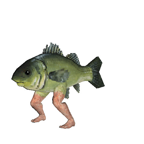 Fish with Legs