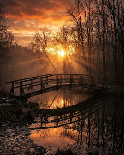 Wooden arched footbridge over a stream at sunset with golden light rays through bare trees