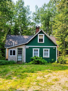 Small green wooden cottage with gray roof surrounded by tall trees in a forest setting