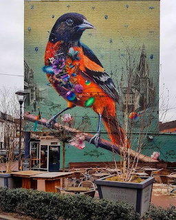 Large colorful bird mural on building wall with orange and blue feathers in urban setting