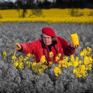Woman in Flower Field