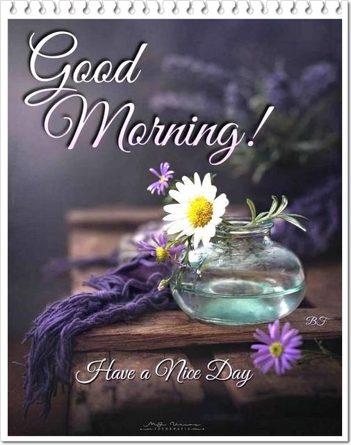 White daisy and purple flowers in glass vase with Good Morning text on rustic wood background