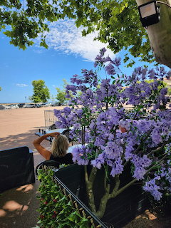Purple flowers by a sunny beach promenade with sea and blue sky